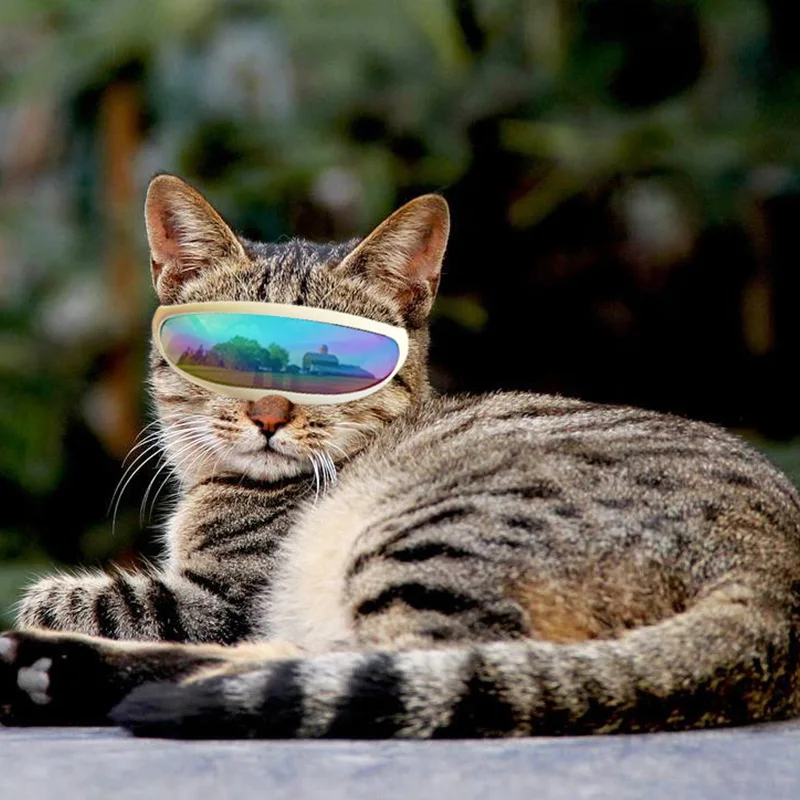 

1Pcs Windproof Pet Dog Sunglasses Pet Eyewear UV Glasses Protective Cat Dog Goggles Pet Supplies