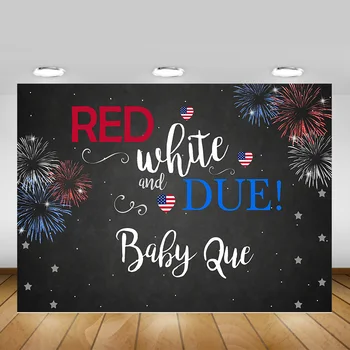 

Independence Day Themed Baby Shower Backdrop 4th of July Newborn Firework Gender Reveal Party Background Photography Photo Shoot
