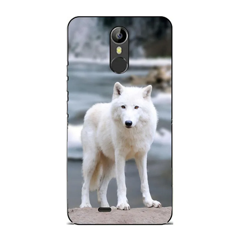 J60 Милый модный Мягкий силиконовый чехол для телефона для Ulefone power 3 чехол с принтом "Кокос" задняя крышка для телефона для Ulefone power 3 - Цвет: J60