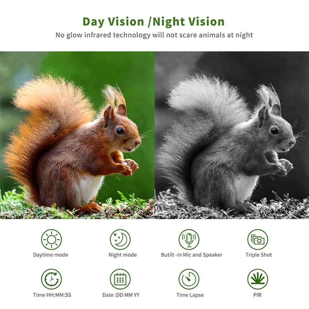 040cdd05044ebdb42c58dd5d721f81e1