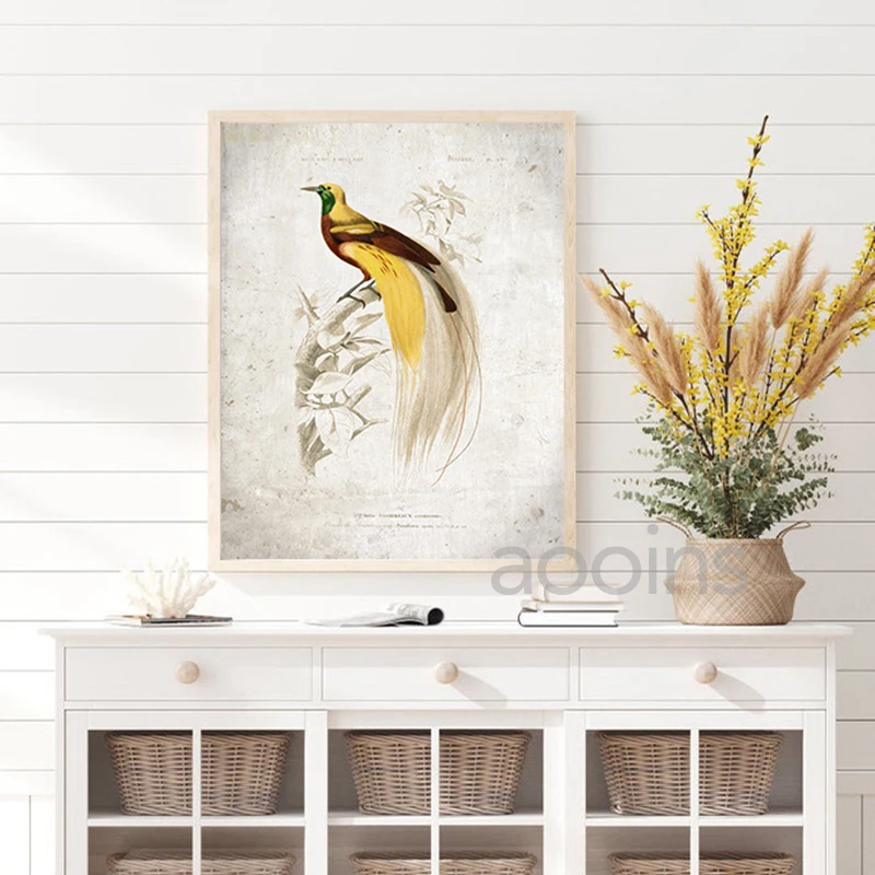 Große Blaue Wohnkultur Malerei Vogel Drucken Vögel Wohnzimmer Leinwand - Bild Vintage Kunst Darstellung AliExpress Wand für Poster Tier Vogel