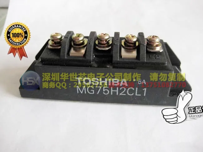 

MG75H2CL1 MG100H2CL1 Japan new power module--SZHSX