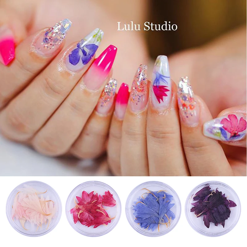 

Dried Flowers 3D Nail Decoration Real Natural Floral Stickers Gradient 3D Dry Hydrangea Flower Beauty Nail Accessories
