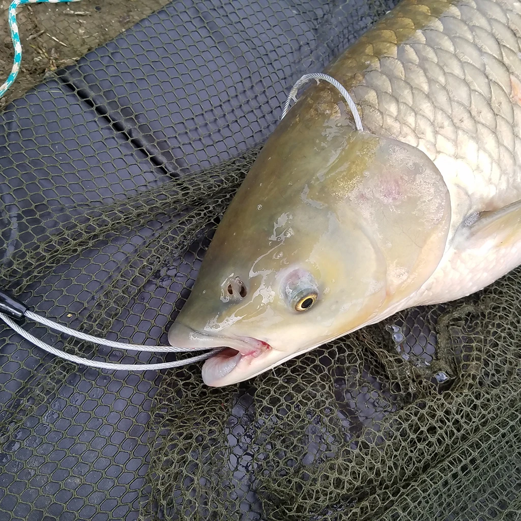  Portable Foldable Unhooking Mat for Fish Protection Carp Fishing Tackle