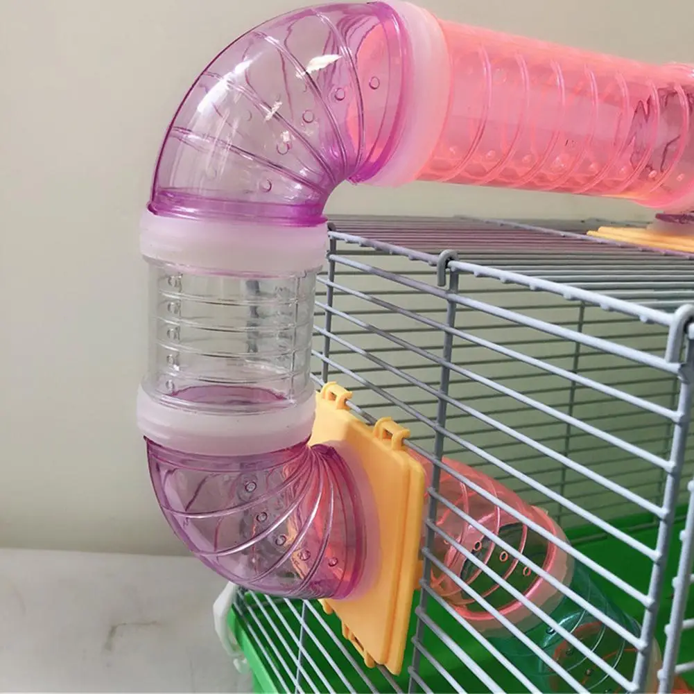 Hamster Tube Movies