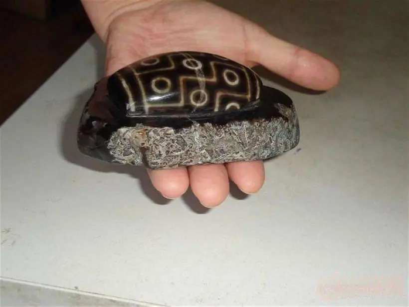 Винтажный зуб дзи Амулет из бисера Тибетский дзи подвеска-бусы calcedony fortune Bead