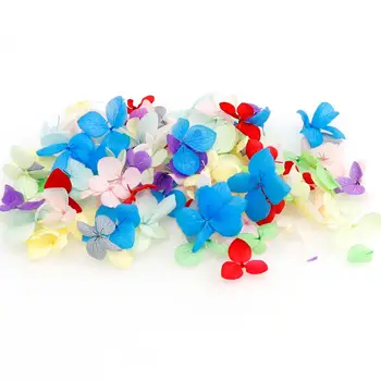 

10/50/100Pcs Mix Color Real Hydrangea Flower Dry Plants For Dry Flower DIY Epoxy Resin Crafts Dry Flowers For Nails