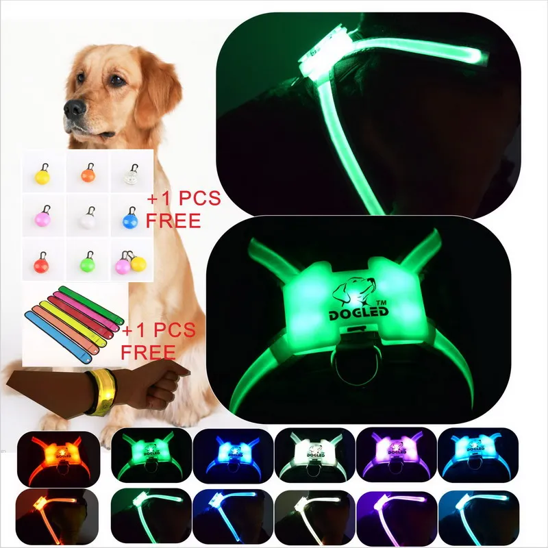 

usb charging led dog collar