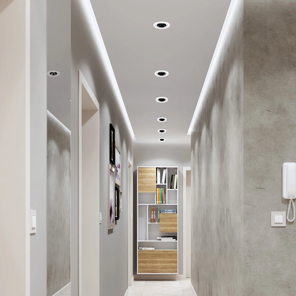 led downlights  (19)