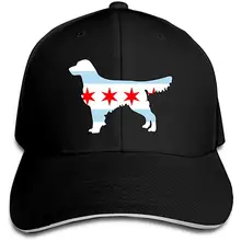 Мужчины и женщины флаг Чикаго золотистый ретривер, собака бейсболка