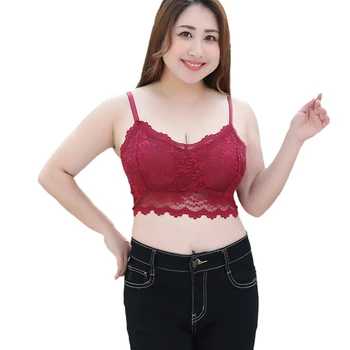 

Sexy Lace Bras Women Sexy Push Up Brassiere Underwire Bras Female Underwears