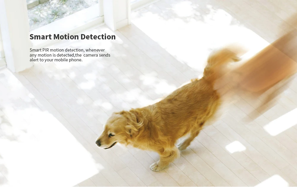 HTB1gGwJXuL2gK0jSZPhq6yhvXXak