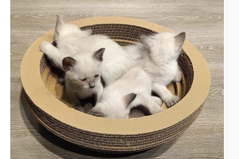Диванная доска для кошек, роскошное гнездо для кошек, большая износостойкая гофрированная Когтеточка для кошек, товары для домашних животных, скребок для кошек