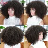 Lace Wigs