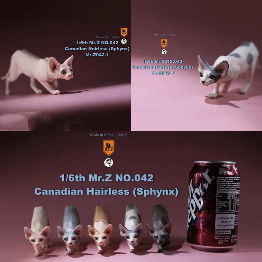 

For Collection 1/6 Scale Mr.Z MRZ042 12'' Action Figure Scene Accessories Canadian Hairless Sphynx Resin Anime Figure Model