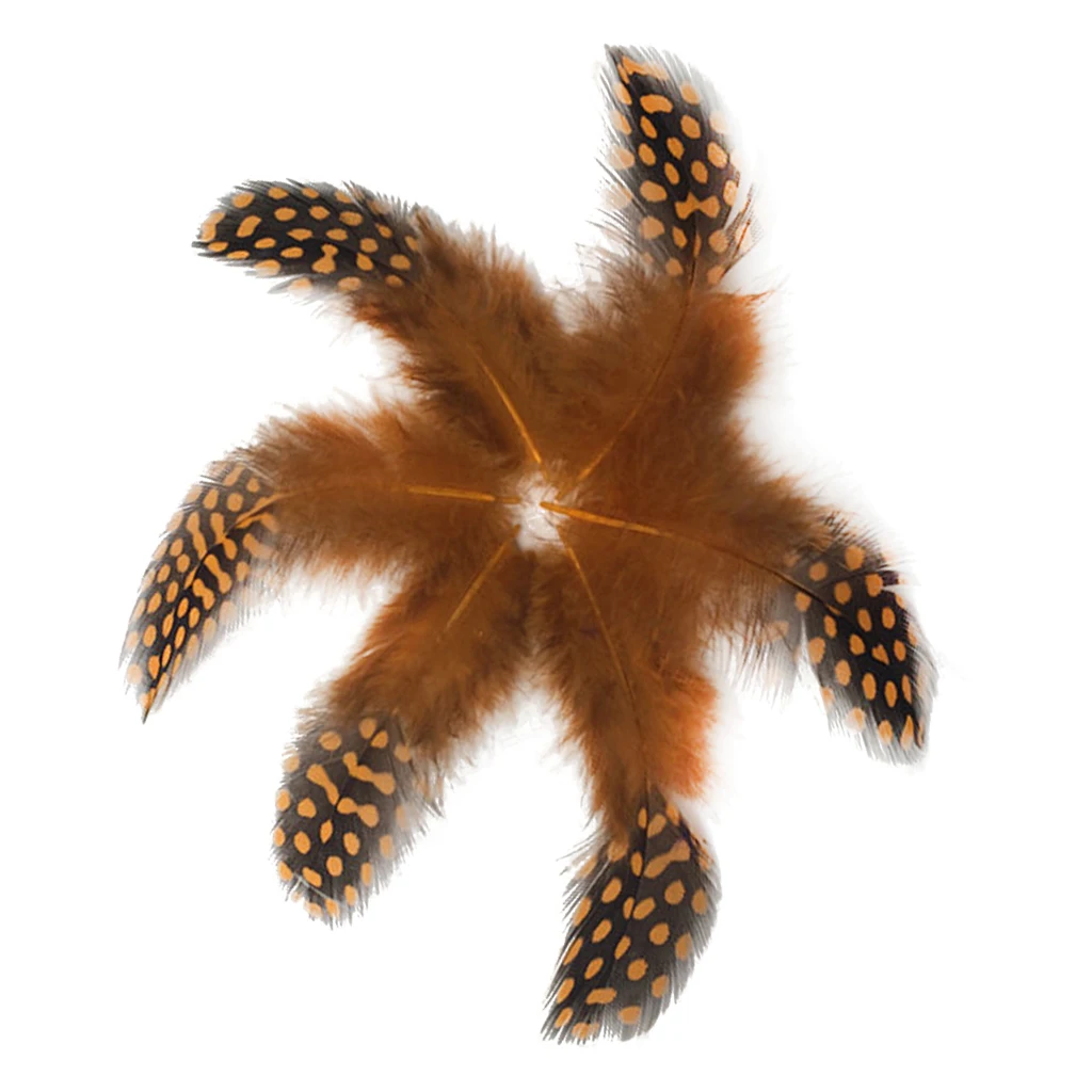 50PCS Lots Dyeing Guinea Hen Feather Chicken Feathers Craft Embellishment