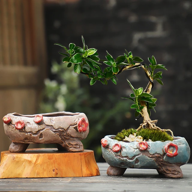 Ceramic Flower Pots Bonsai  Bonsai Pot Japanese Ceramics - Creative  Ceramic Flower - Aliexpress