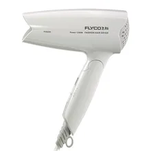 Фен для волос в виде ветви, Fs-6255, складной, для домашнего общежития, бесшумный дизайн, вторая передача, 1000 Вт