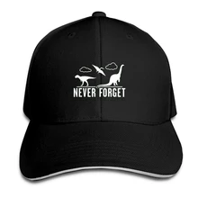 Шапка DINO FORGET