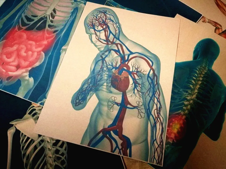 Retro 3D X-ray Scanning Human Man Anatomy Posters Skeletal Joint Organ Muscular System blue background Kraft Paper Wall Sticker | Дом и сад
