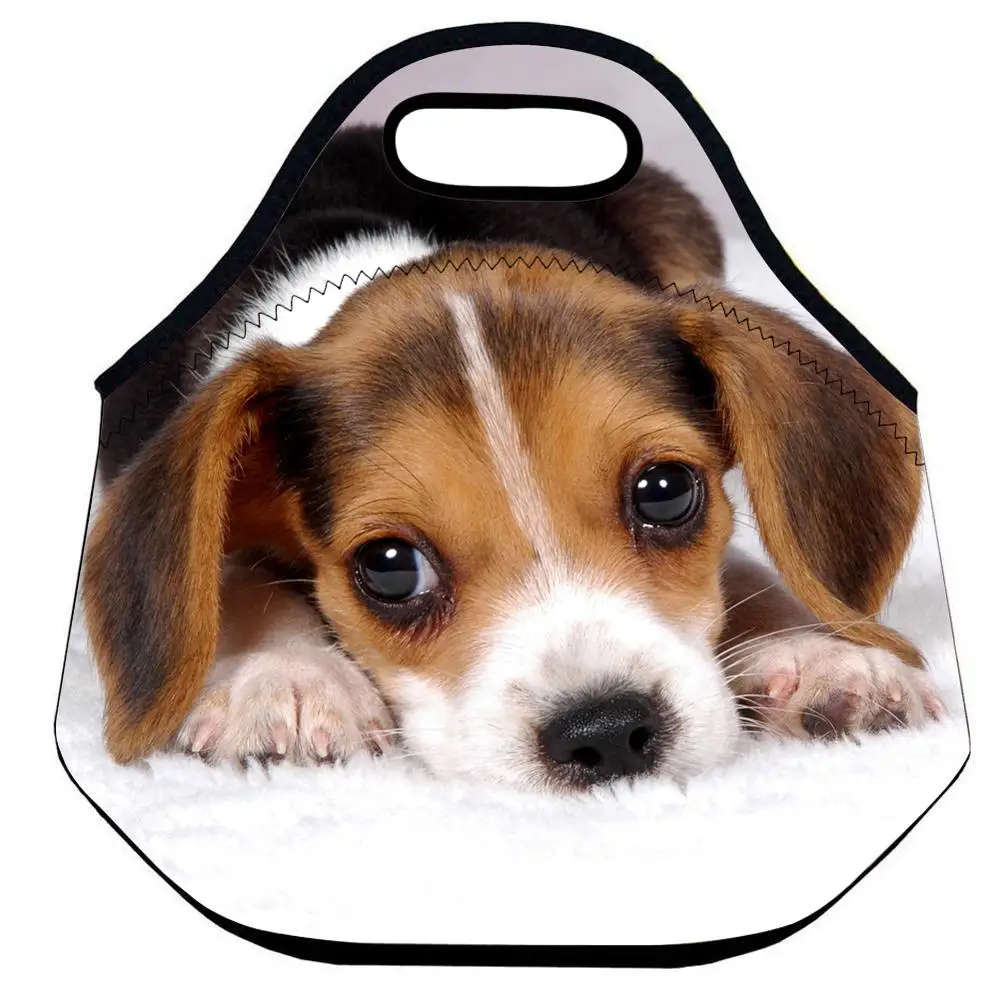 

Anmial Lunch Bag School Kids Neoprene Thermal Lunch Bag Women Picnic Cooler Snack Box BagPersonalized Insulated Lunch Box Bag