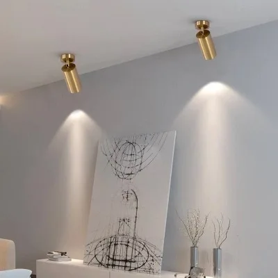 

Led Track Light Clothing Shop Windows Showrooms Exhibition Spotlight Cob Led Ceiling Rail Spot Lamp Traditional Collection Light