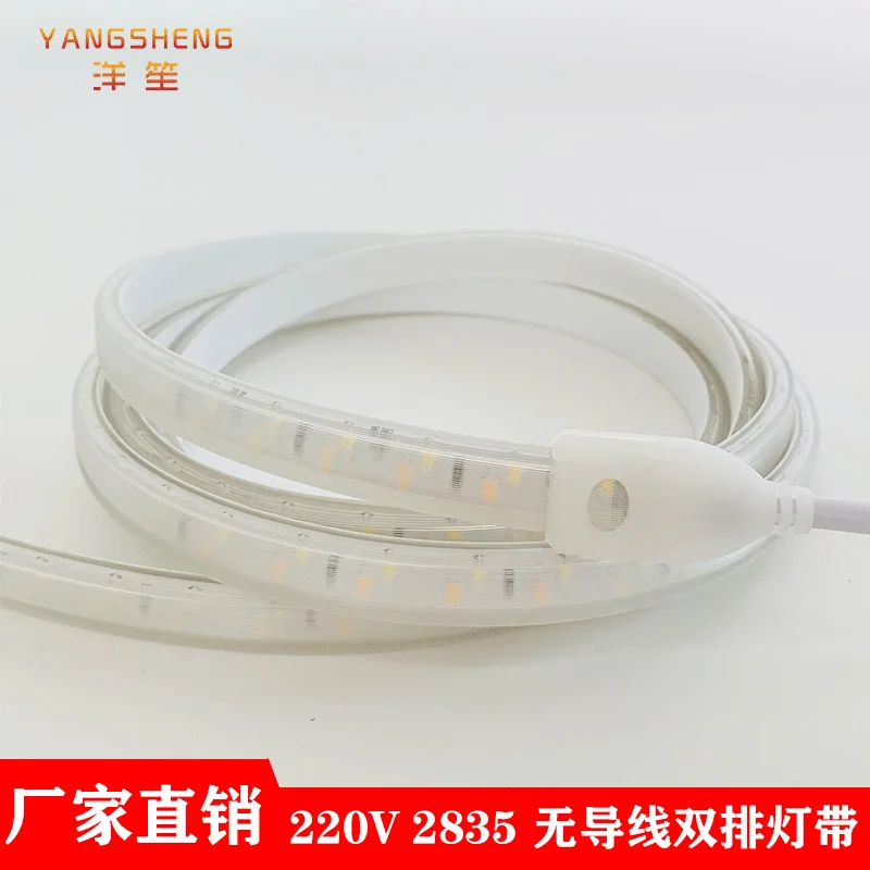 

High Pressure Lamp Strip Led2835 Double Color Gentle and Soft Strip 220v Double Row Color Changing Outdoor Waterproof 120 Lamp