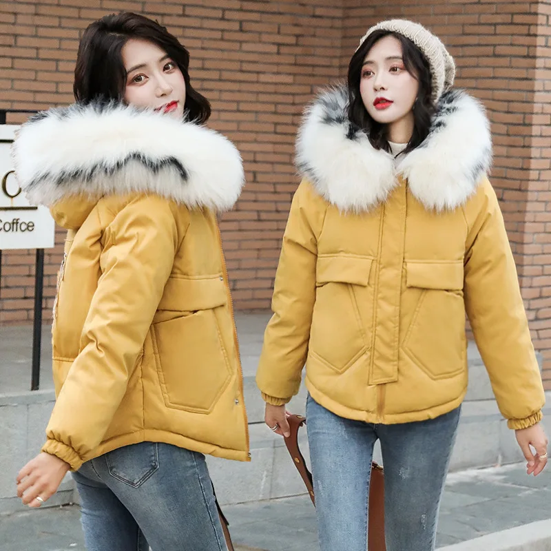 

Short Elegant Versatile by Age Comfortable Cool Warm Cotton-padded Clothes Women's 2019 Winter New Style Fashion Cotton Coat