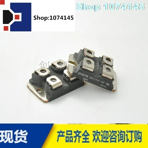 DSEI2X61-06C/