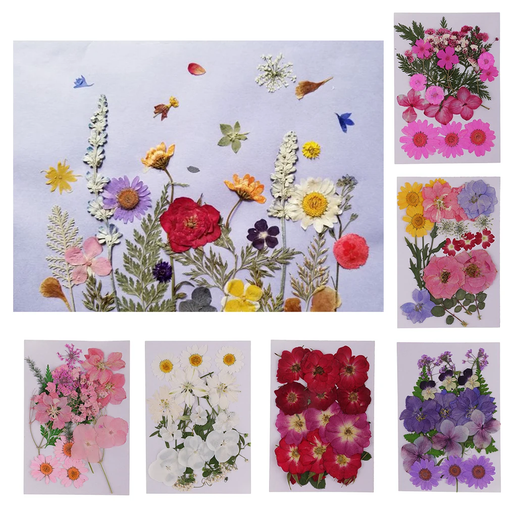 Lots Mixed Real Pressed Flower Dried Flowers Scrapbooking Phone Cover DIY Crafts Home Decoration Jewelry Making