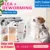 Cat Dog Anti Flea Mite Tick Collar No Flea Grooming Tool Quadruple Removal Flea Effect Kitten Remedy Neck Pet Supplies Cat Pet