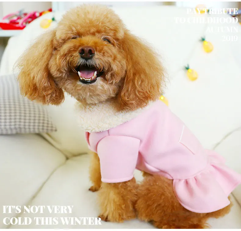 Cute Warm Dog Clothes For Small Dog Pink Puppy Strap Skirt Dress Autumn Winter Warm Plush Fur Collar Coat Suit Pet Clothing