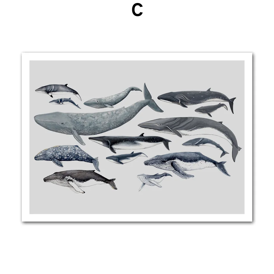 Whale-Dolphin-Marine-Life-Animals-Art-Prints-Wall-Art-Canvas-Painting-Nordic-Posters-And-Prints-Wall (7)