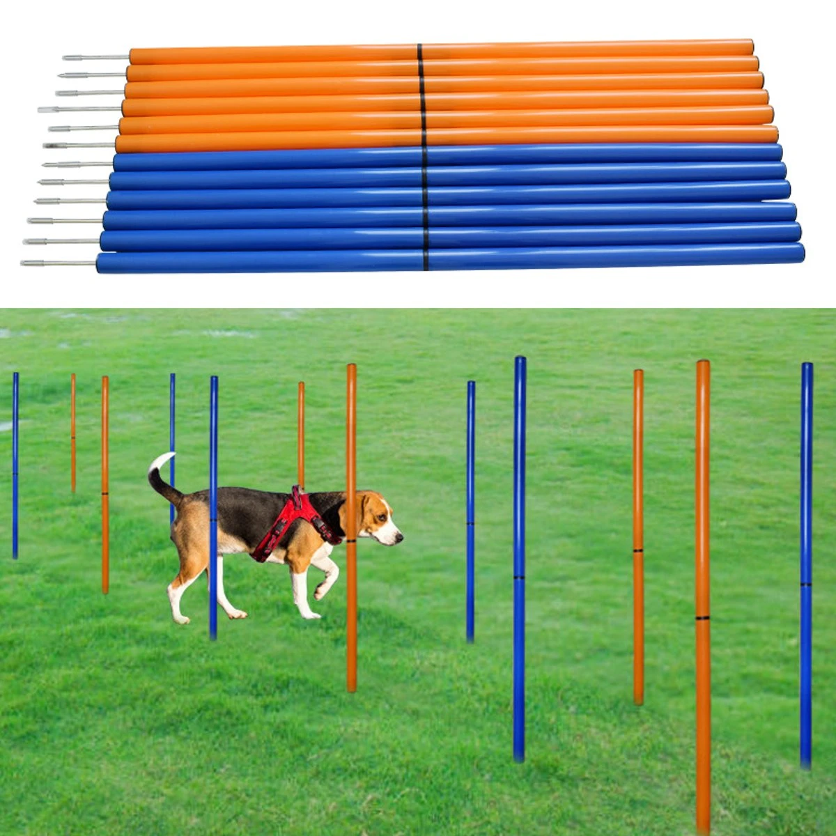 Dog agility accessories Clearance