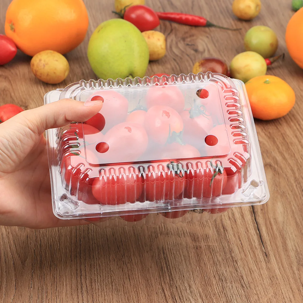 Fruit Clamshell Packaging Container 20pcs Disposable Plate AliExpress