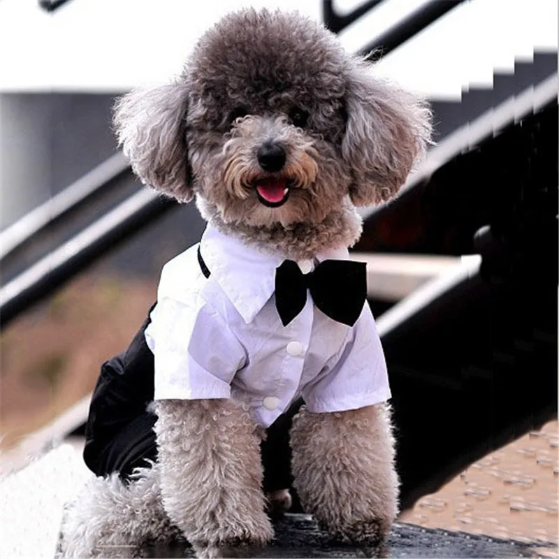 

Western Style Men's Suit & Bow Tie Small Pet Dog Clothes Honden Pijama Perro Puppy Apparel Jumpsuit Wedding Decoration