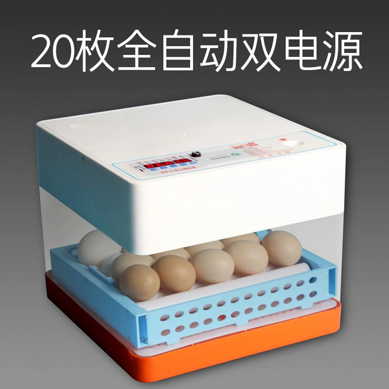 

Digital Egg Incubator Machine Automatic Hatchery Turning Temperature Control Incubadora Couveuse Thermostat for Incubator
