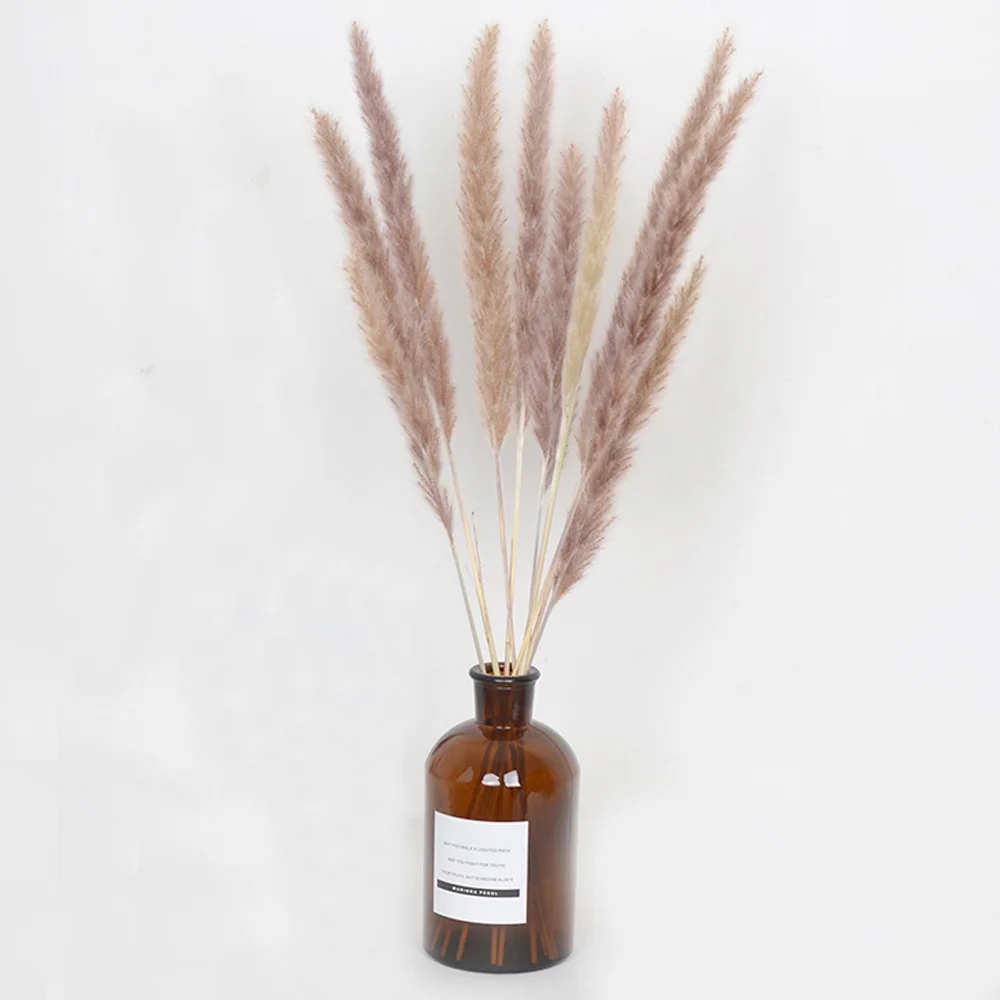 O1CN01vypgeX2F2WZa3oyp0_!!82938822