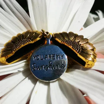 

Wholesale 10pcs Simple Open Locket Daisy Necklaces For Women Dainty Jewelry You Are My Sunshine Letter Sunflower Necklaces BFF