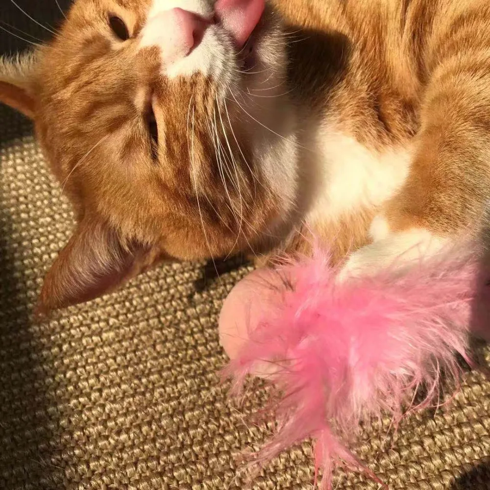 Chaton Catnip Hoopet интерактивная игрушка для кошек туннель товары для животных товары для собак Petshop игрушки для кошек