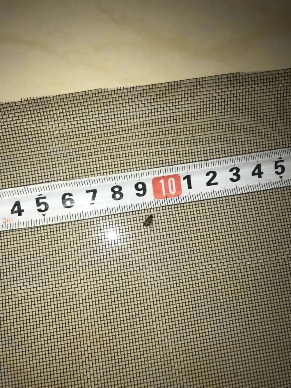 QQ图片20190616224749