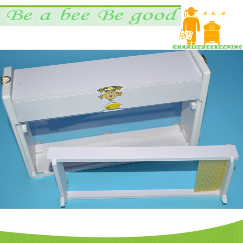 X2 Charliebeekeeping New Transparent Observe Mating Nuc Mini Mating Box Nuc Beehive