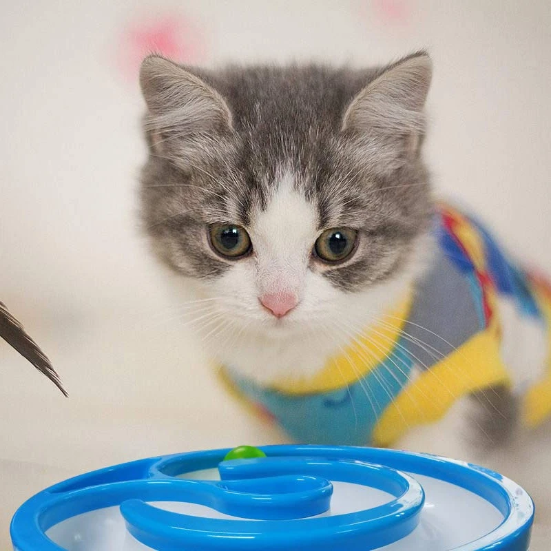 CSS Tower Of Tracks Ball Cat Toy Interactive Cat Turbo Dog Toy Electronic Cat Ball Exercise Turbo Cat Dog Toy Rolling Ball Train