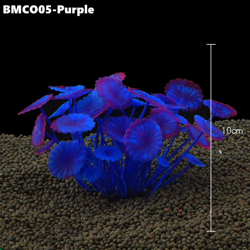 BMCO05 (3)