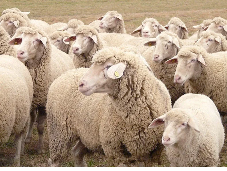 H6facf0aea0844908ad8dd207d42f0eccF