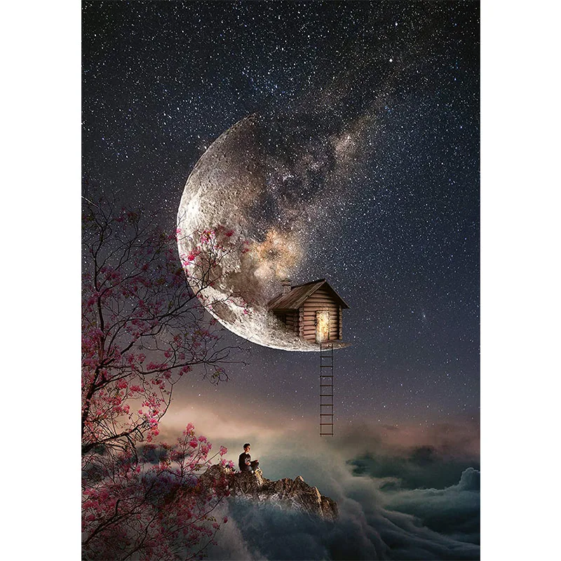 5D Diy Diamond Painting Dream Whisper 3D Moon House Landscape Full Drills Embroidery Rhinestones Pictures Wall Art Home Decor | Дом и сад