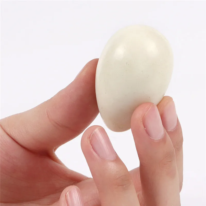 304829_no-logo_304829-1-06-g