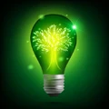 WARMING LIGHTING Store