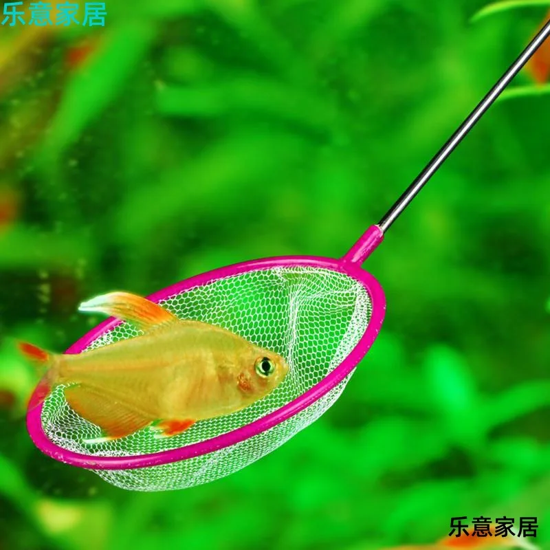 Fish catching Net Small (Buy One Get Two) Small Fishing Net