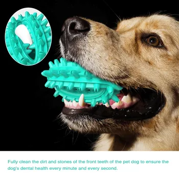 

Dog Tooth Cleaning Cactus, Multi Convex Surface All-Round Cleaning Of Tartar, Thermal Rubber Non-Toxic Material